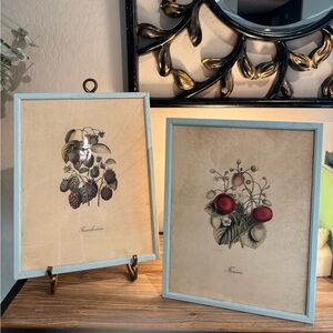 🌿 Vintage Botanical Lithograph by G. Severeyns – 11x14" 🌿